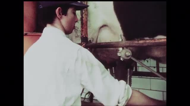 157595018 / College of the Ozarks / Missouri / USA / 