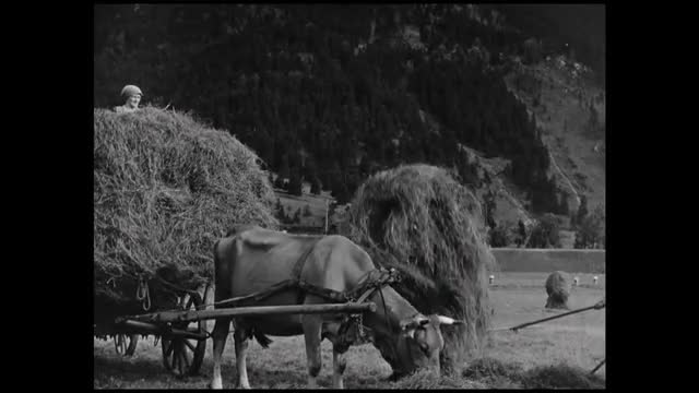 225428539 / Agribusiness / Germany / 