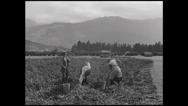 821081007 / Agribusiness / Germany / 