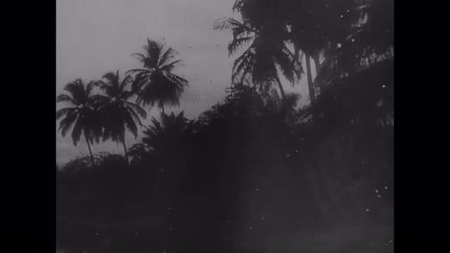 945317128 / German Reich / Propaganda Film / 