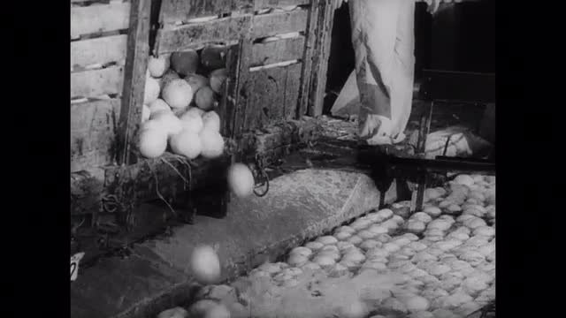 372211892 / War Economy / Texas / USA / 