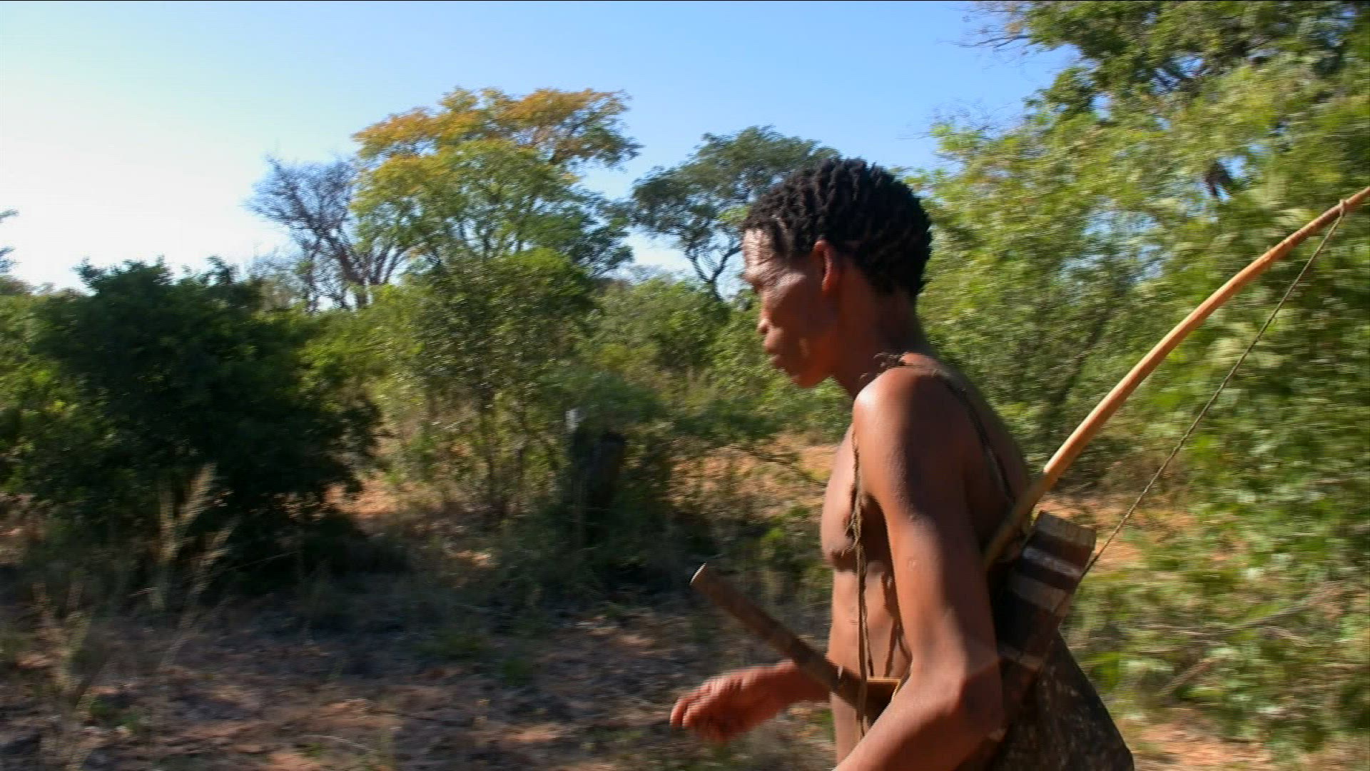 865671915 / San / Hunter / Collector / Namibia