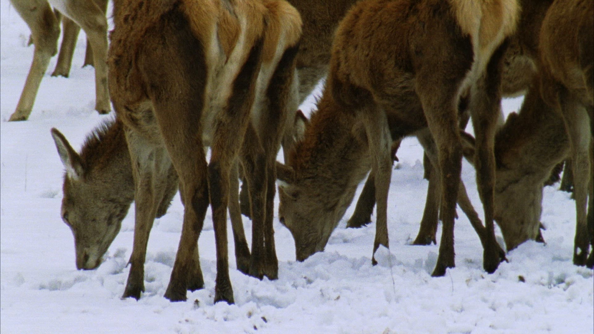 916528449 / January / 2010 / 2010-2019 / 21st Century / 916528449