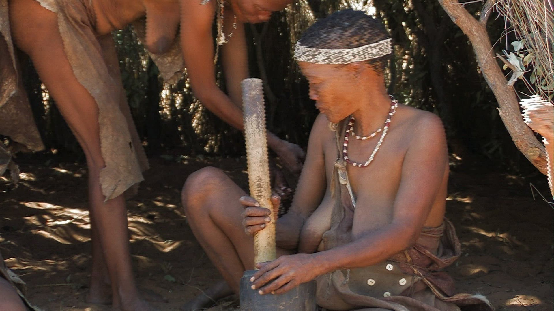 318628240 / San / Collector / Namibia