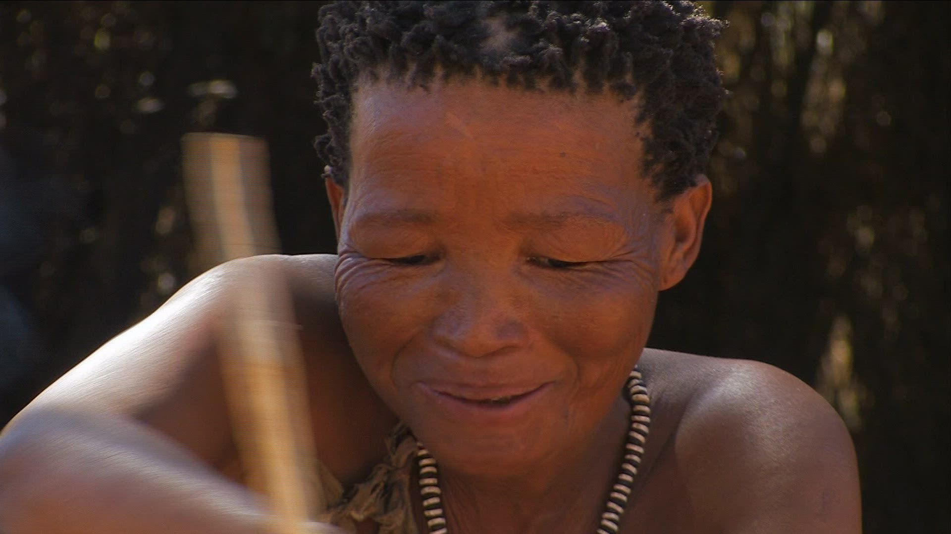 400690539 / San / Collector / Namibia