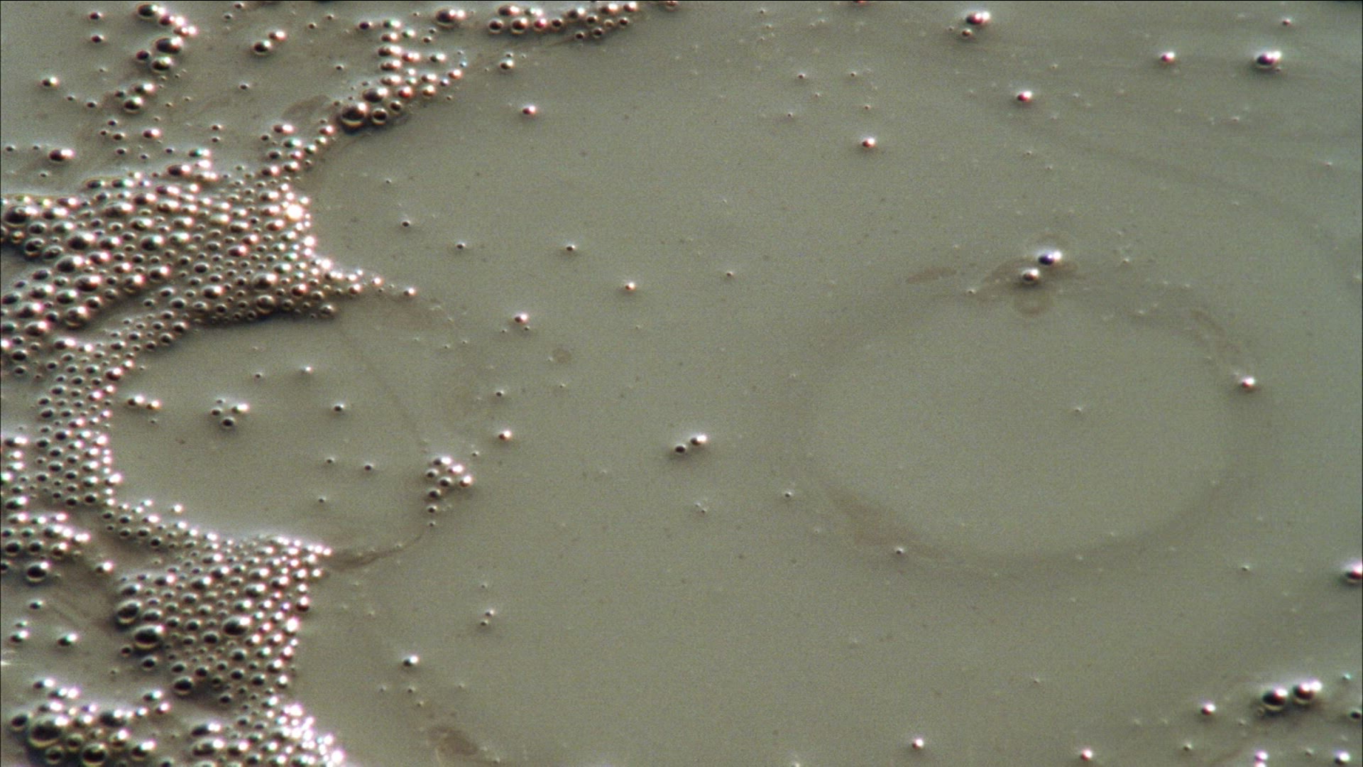 433122591 / Mud Volcano / Berca / Romania
