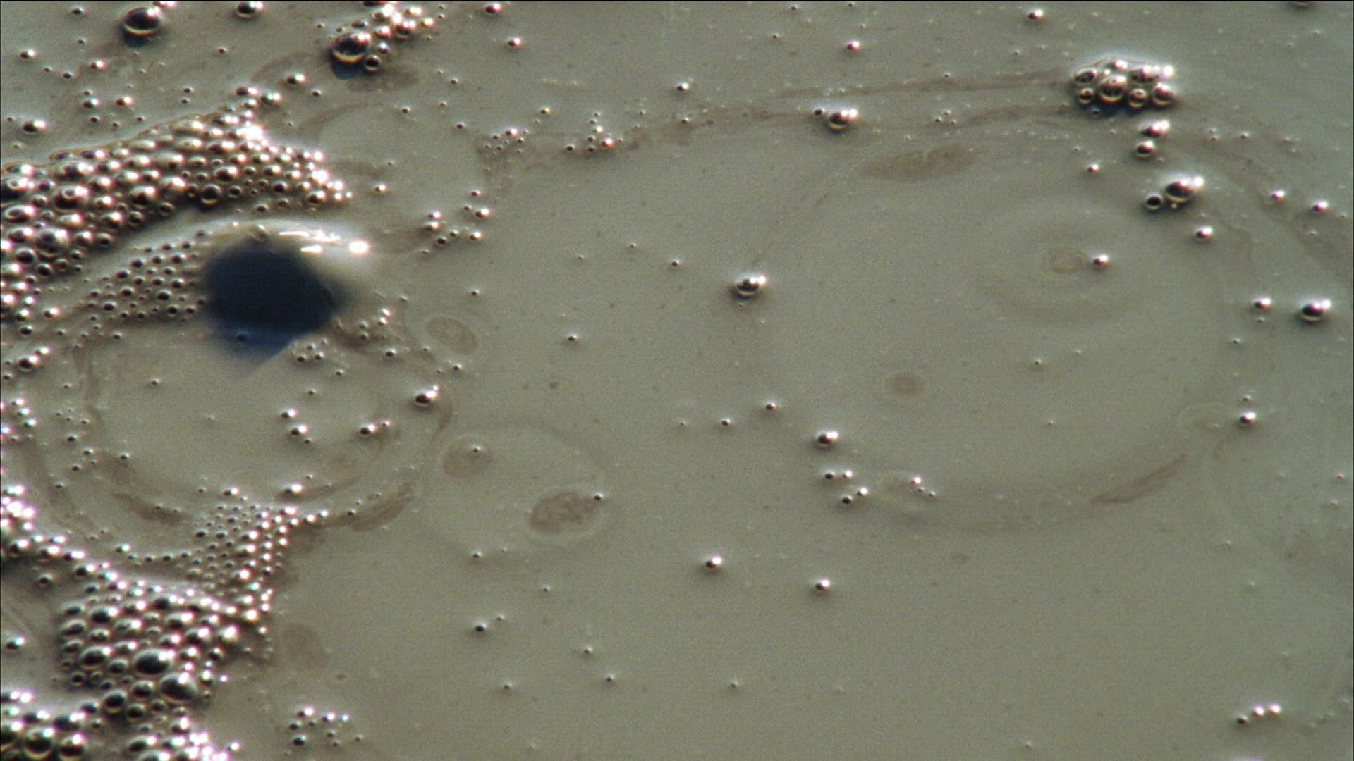 523562420 / Mud Volcano / Berca / Romania