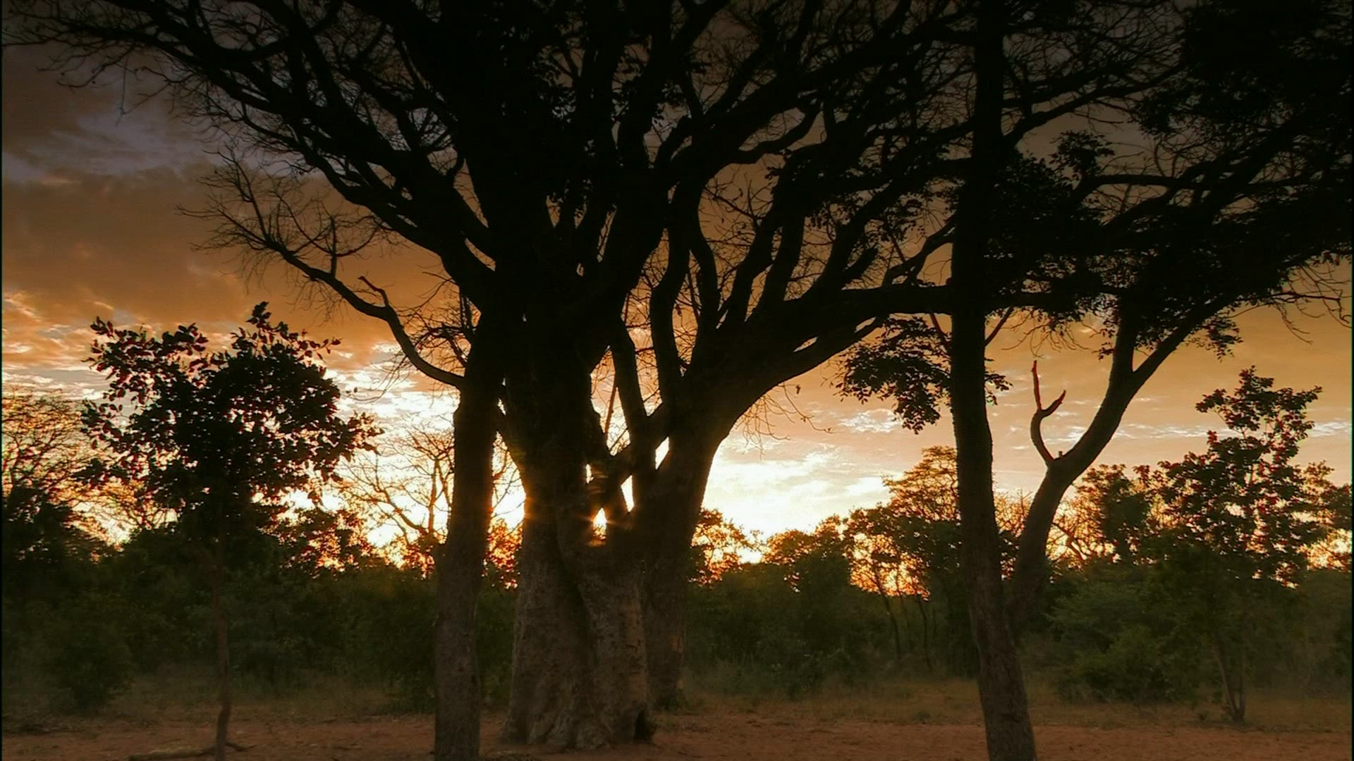 522501993 / San / Lifestyle / Namibia