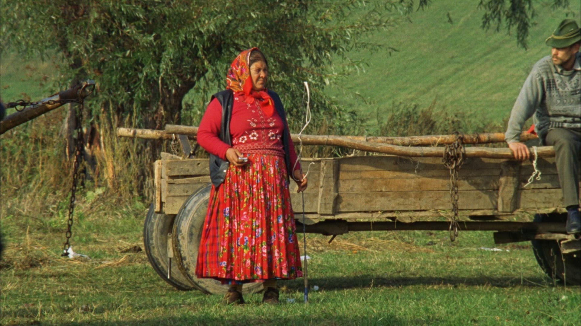 522009863 / Horsemarket / Transylvania / Romania