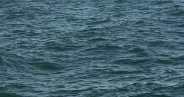Flying over the ocean, waves forming, sparkles and wakes