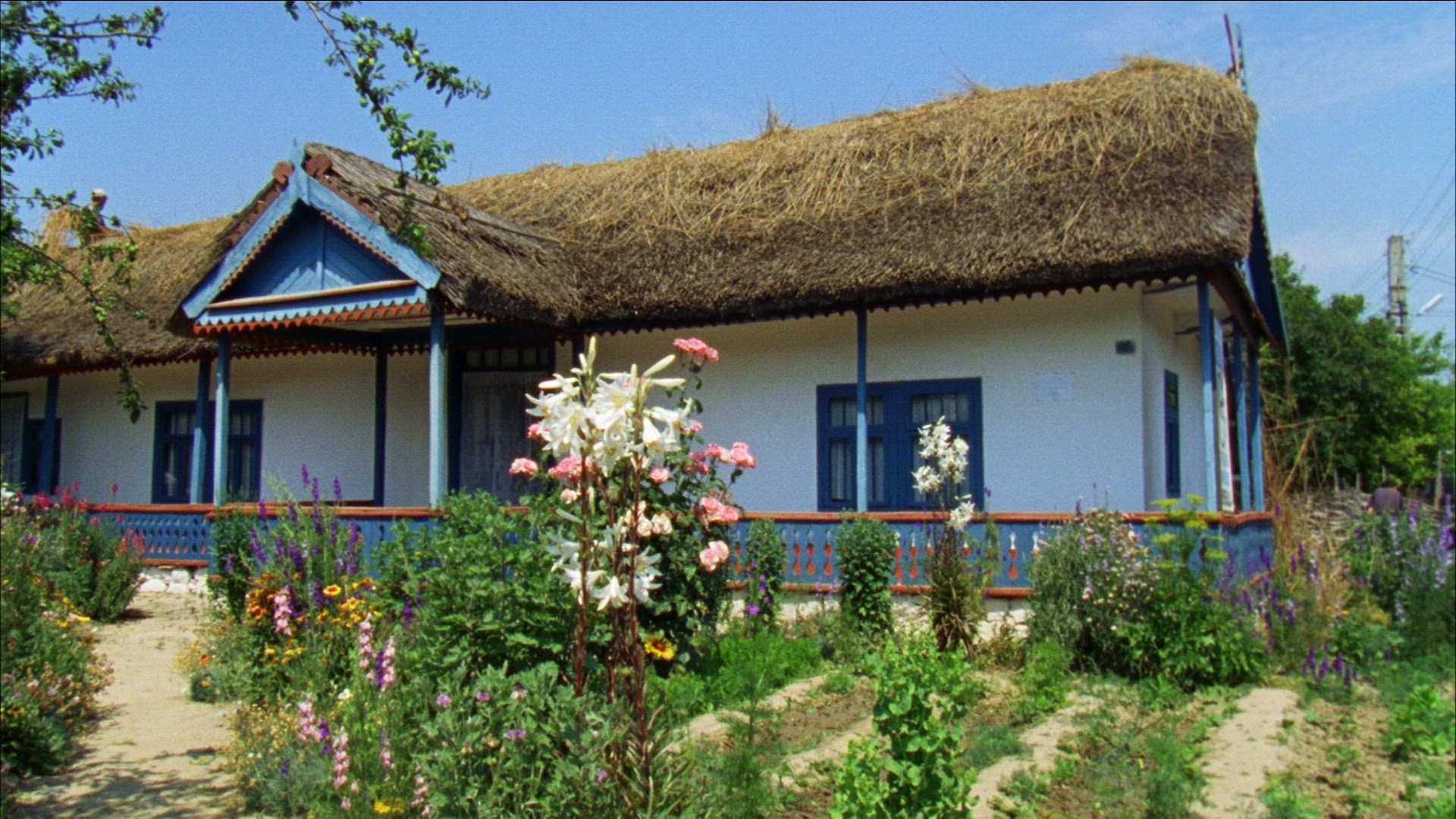 613911298 / People / Romania