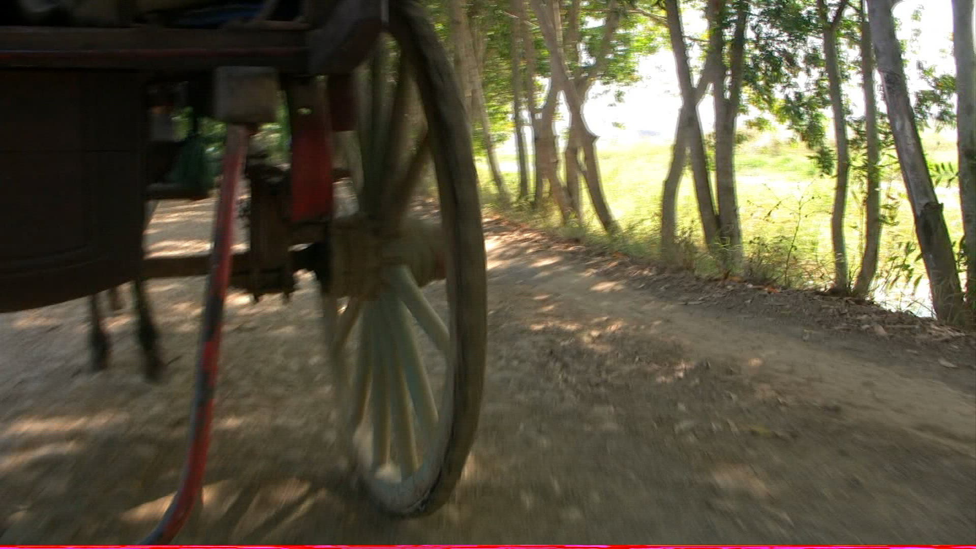 812660002 / Wheel / Cart / Driving