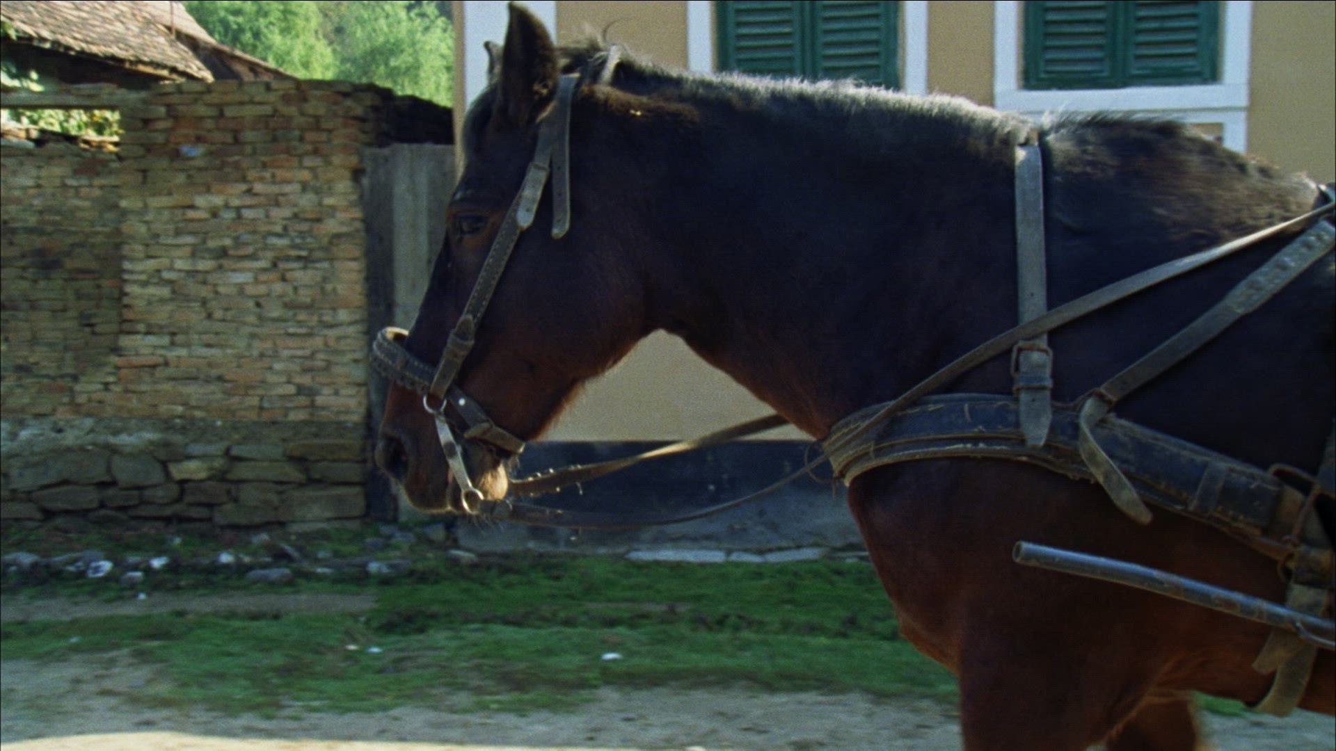 994271864 / People / Transylvania / Romania