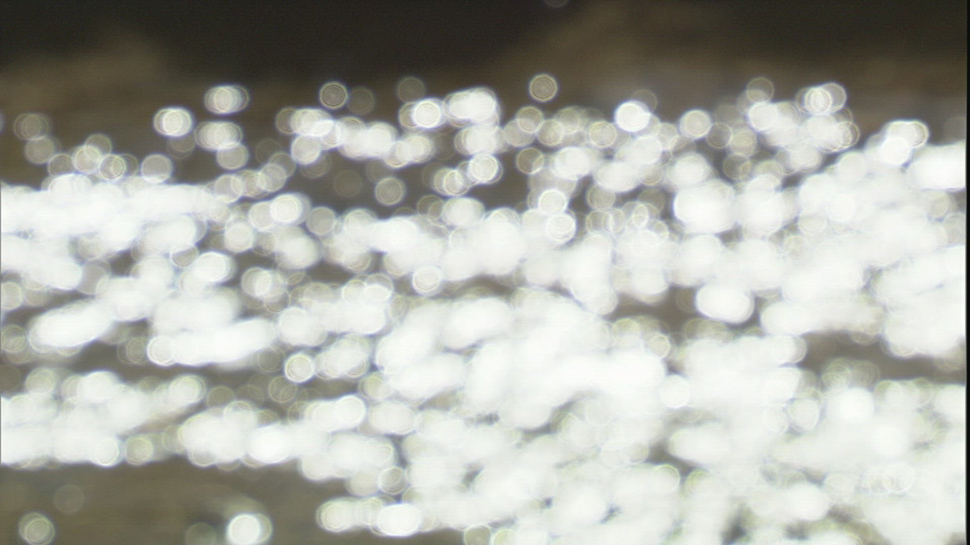 192703741 / Stream / Twinkling