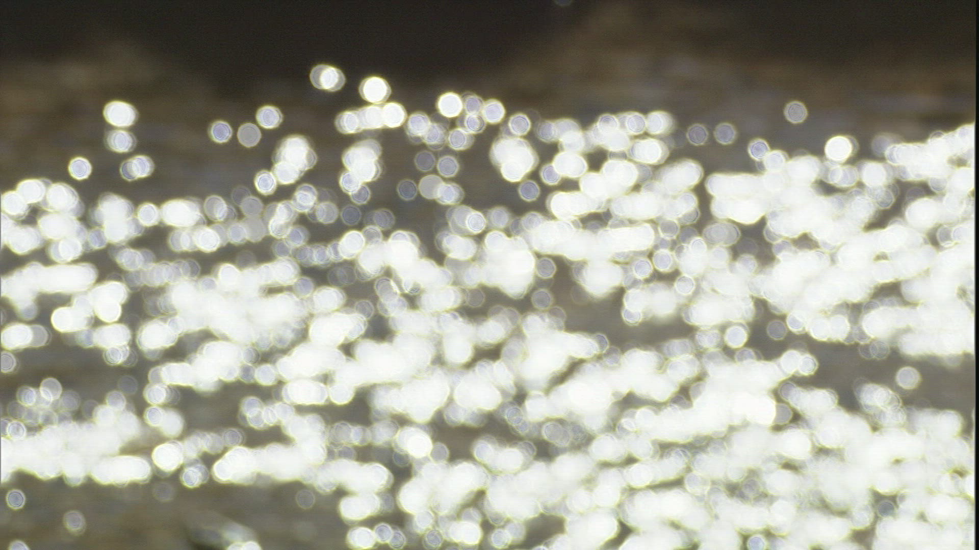 252093077 / Stream / Twinkling