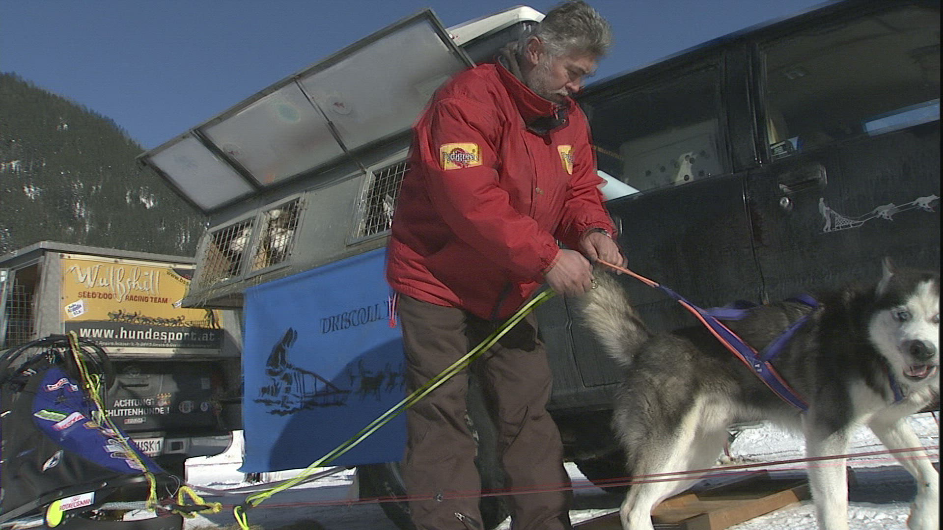 560479421 / Dog Sled Race / Winter Sports / Austria