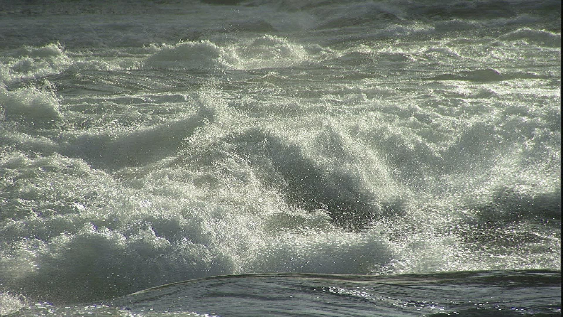 203438545 / Rapids / River