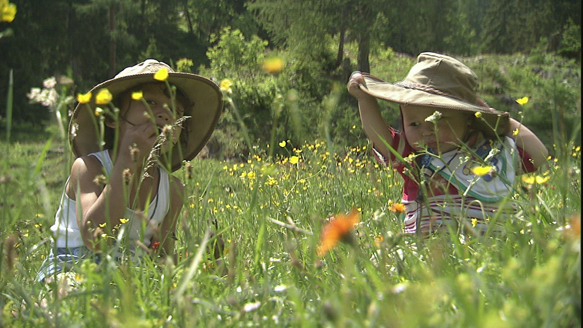 354812570 / Child / Playing / Flower Meadow