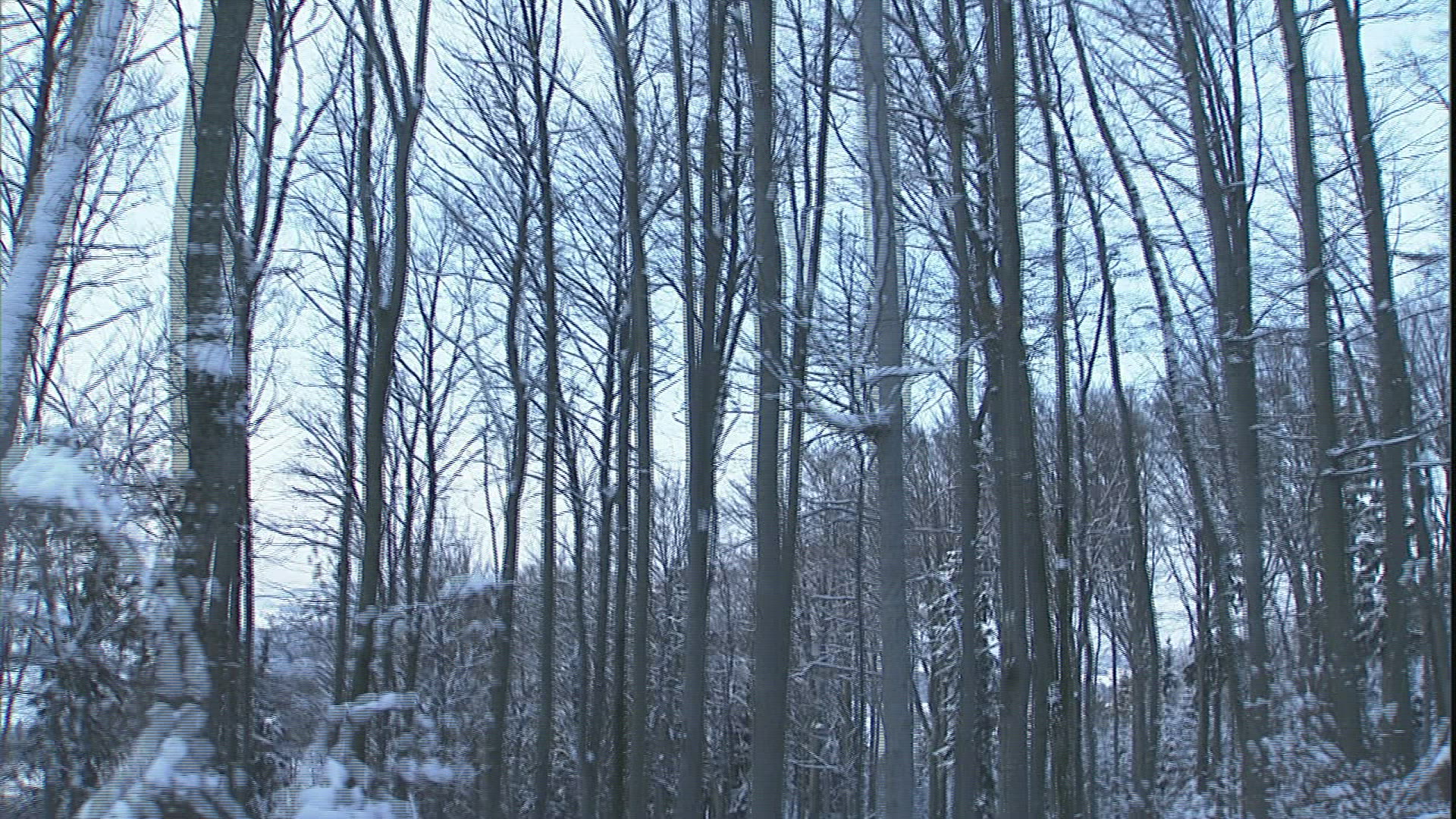 505384405 / Travelling Shot / Winter / Street / Austria