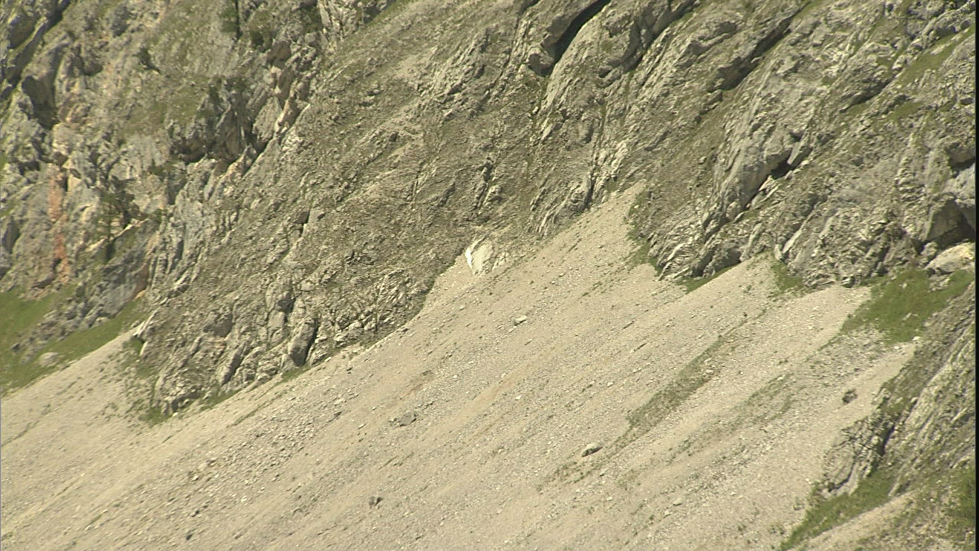 988050930 / Bluntautal / Berchtesgaden Alps / Austria
