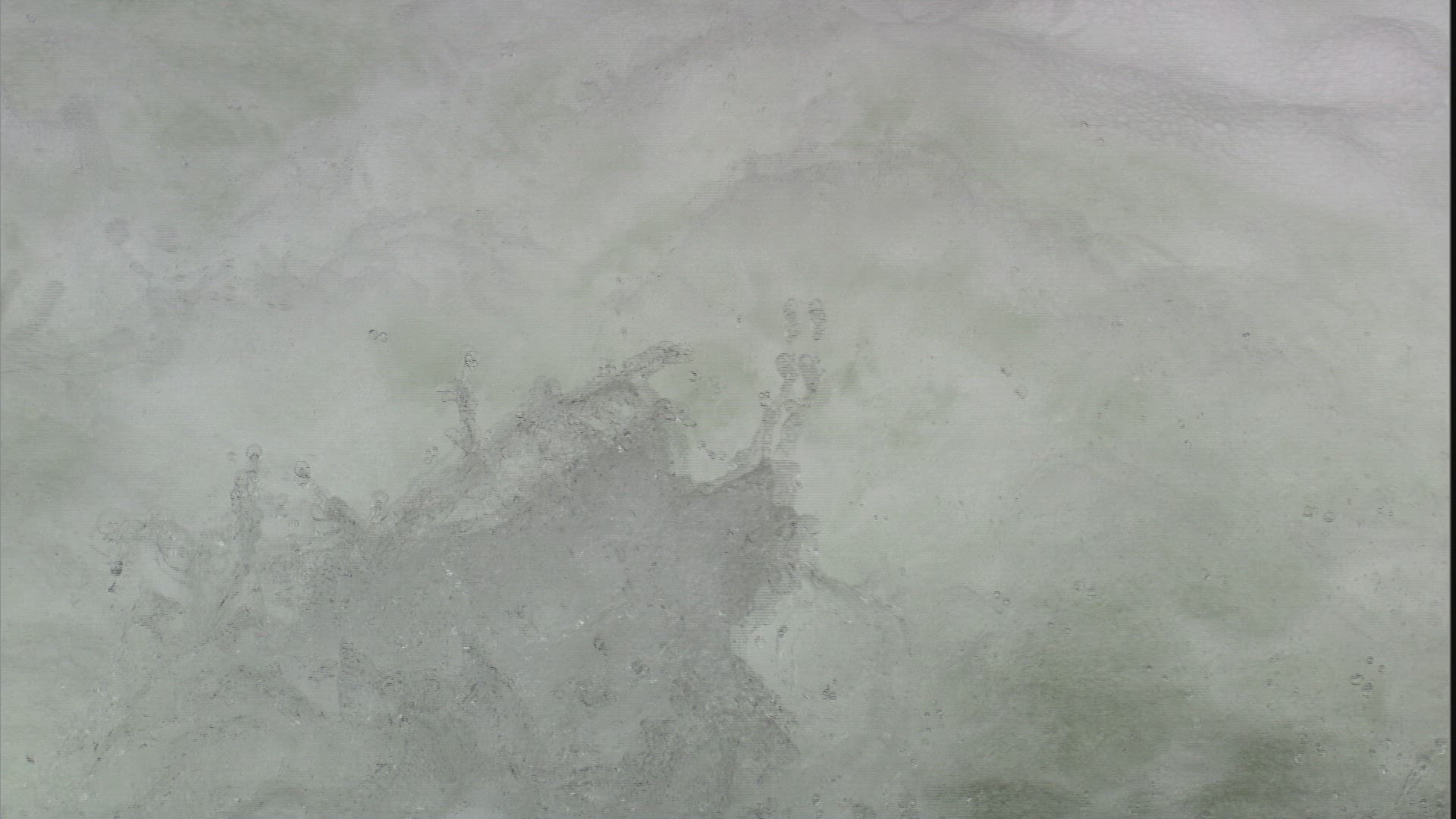 645495929 / Silver Salmon / Fish Migration / Alaska