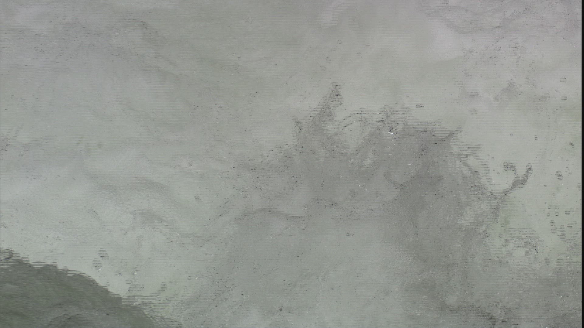 749576226 / Silver Salmon / Fish Migration / Alaska