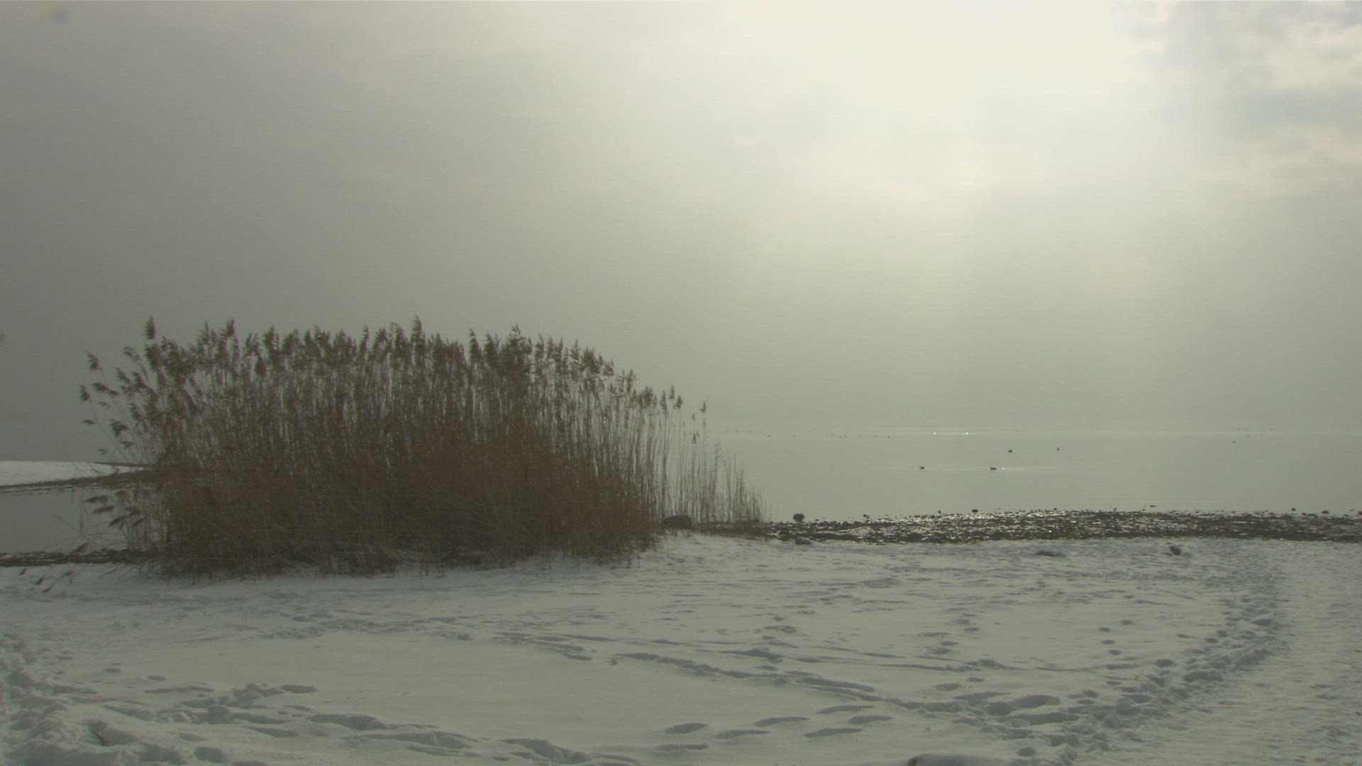 803278431 / Waterside / Chiemsee / Germany