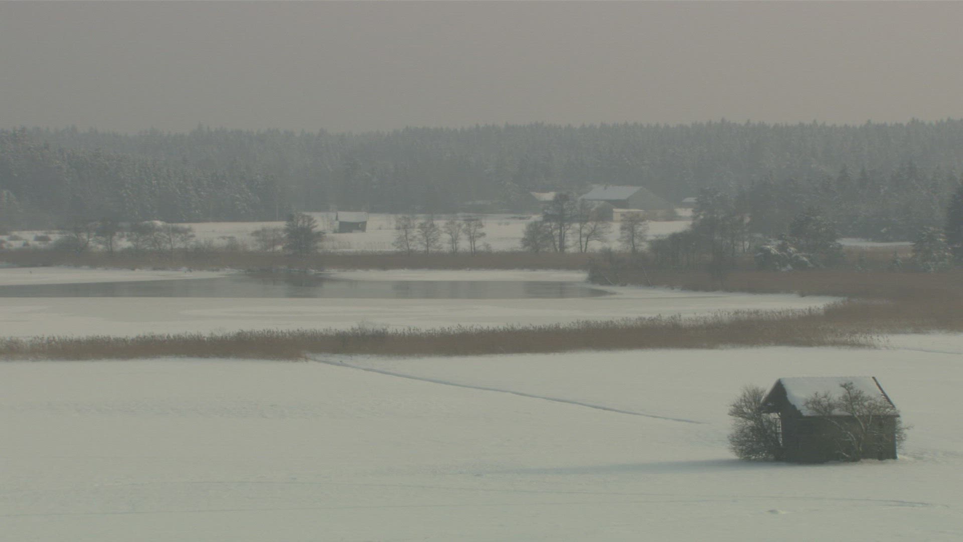 911381386 / Waterside / Chiemsee / Germany