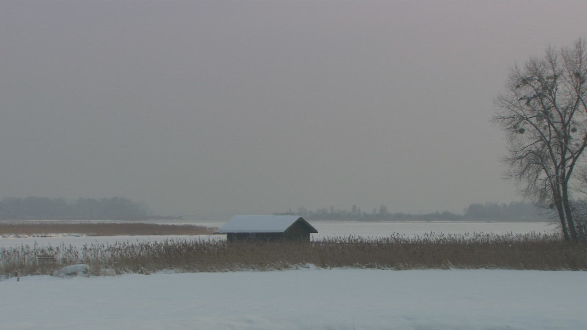 703446061 / Waterside / Chiemsee / Germany