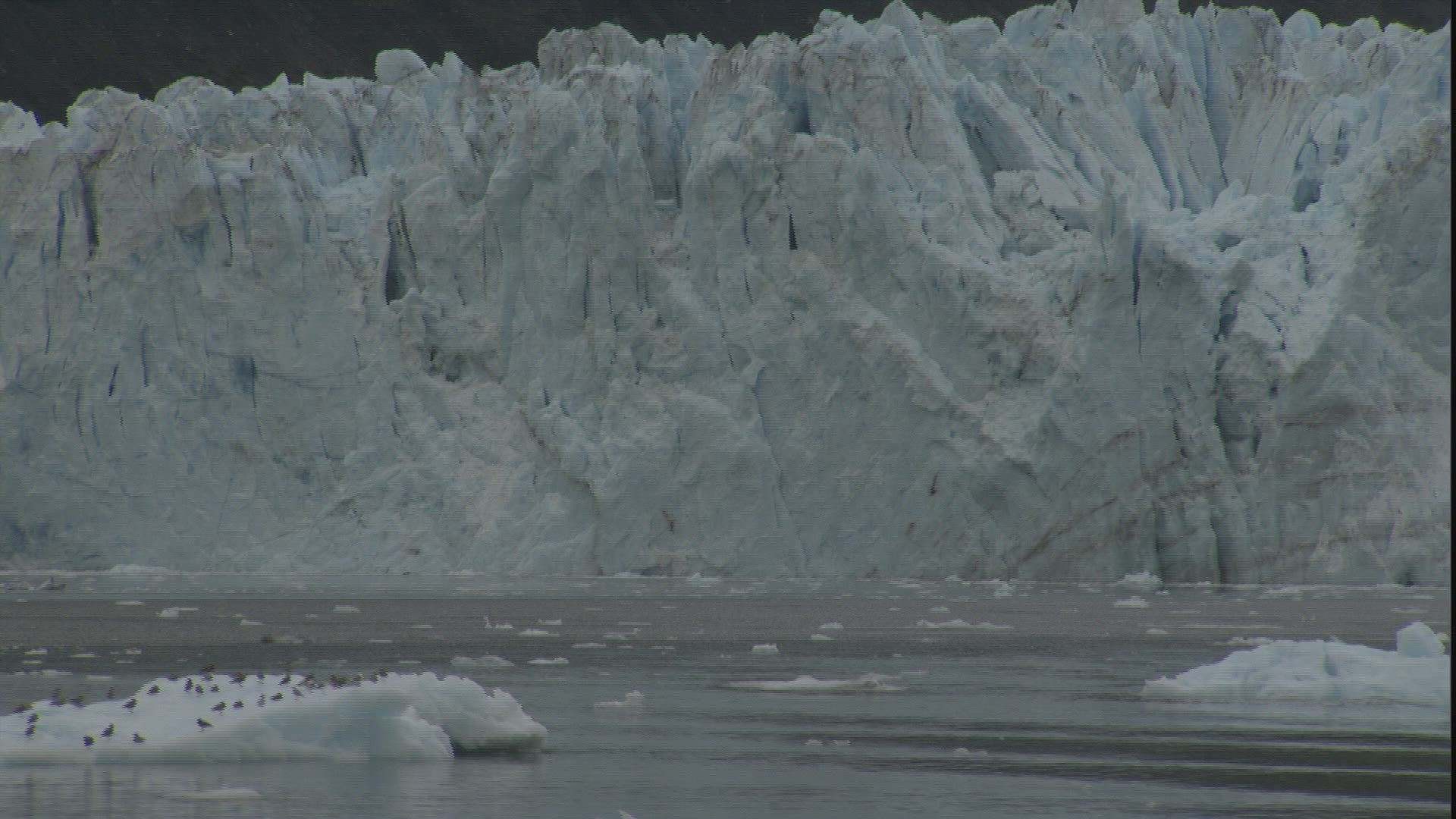 761992838 / Glacier / Passage Canal / Whittier / Alaska