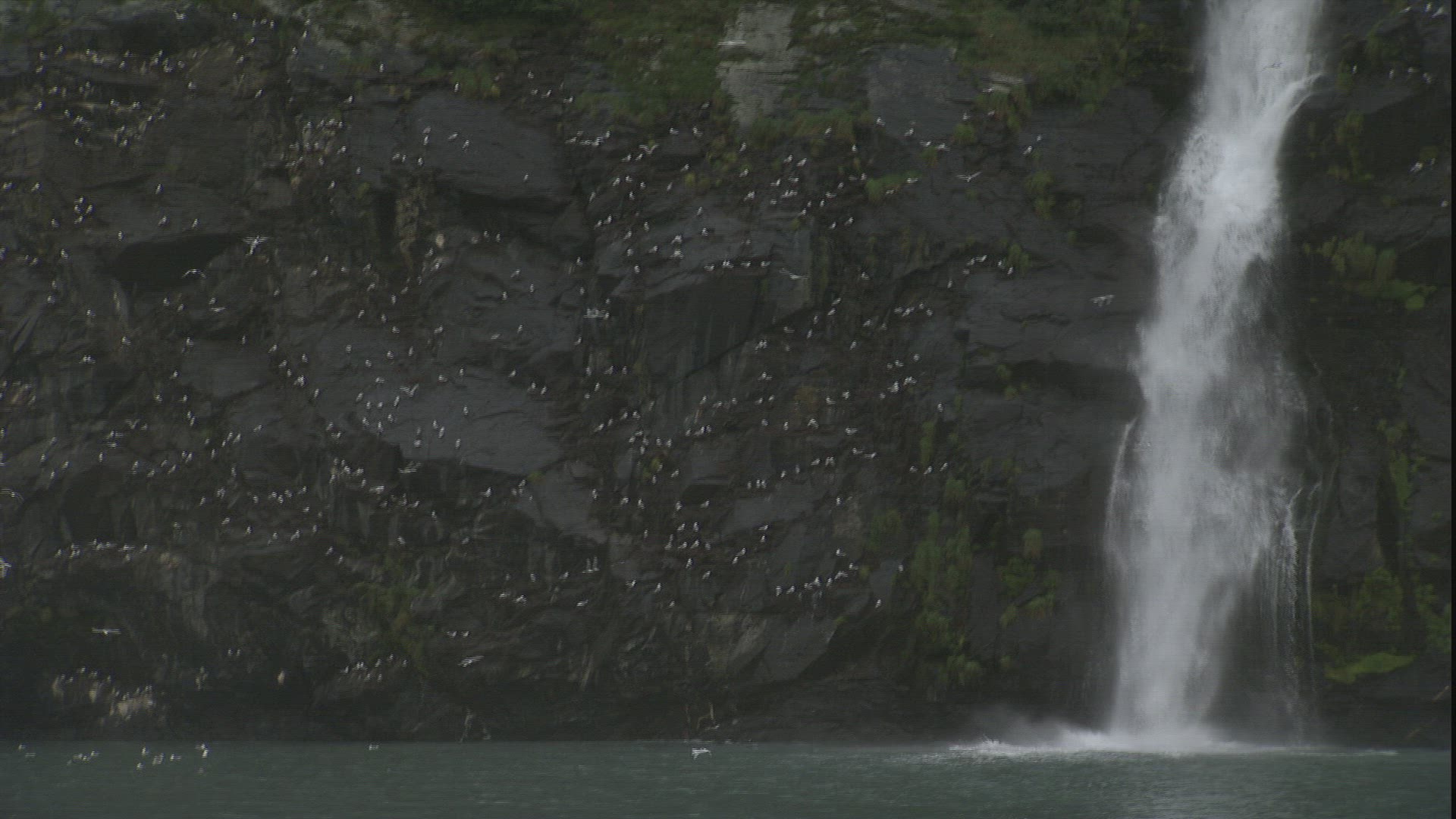 774555778 / Steep Coast / Waterfall / Passage Canal / Alaska