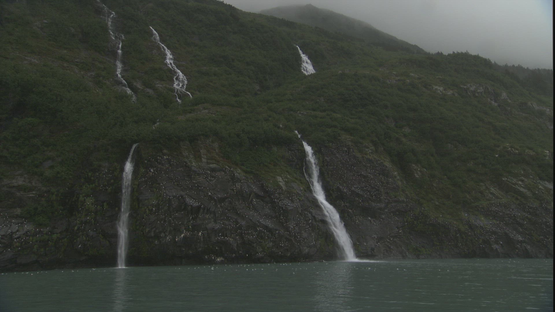 562754015 / Steep Coast / Waterfall / Passage Canal / Alaska