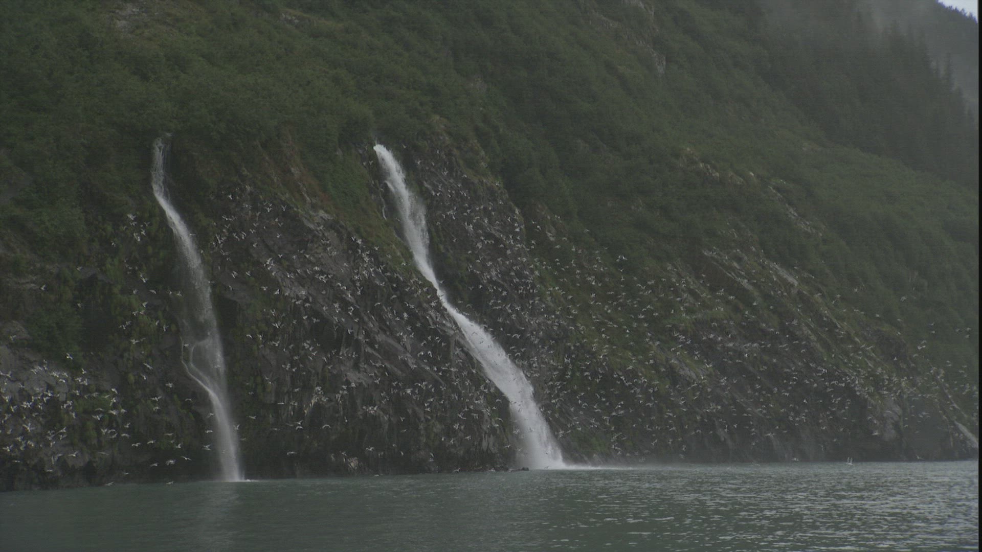 632762101 / Steep Coast / Waterfall / Passage Canal / Alaska
