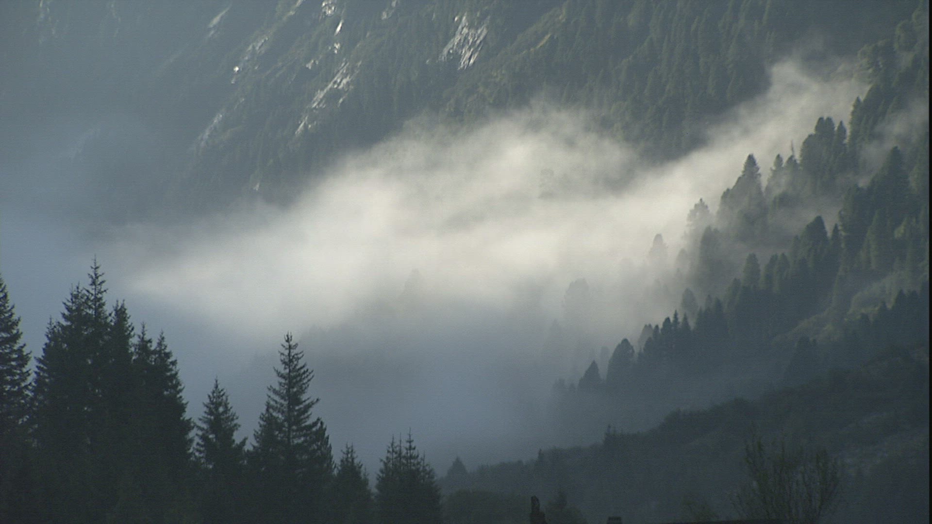 798836910 / Fog / Mountains