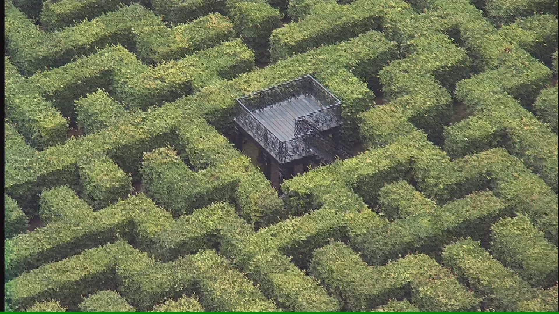 806921810 / Castle / Palace Garden / Apeldoorn / Netherlands