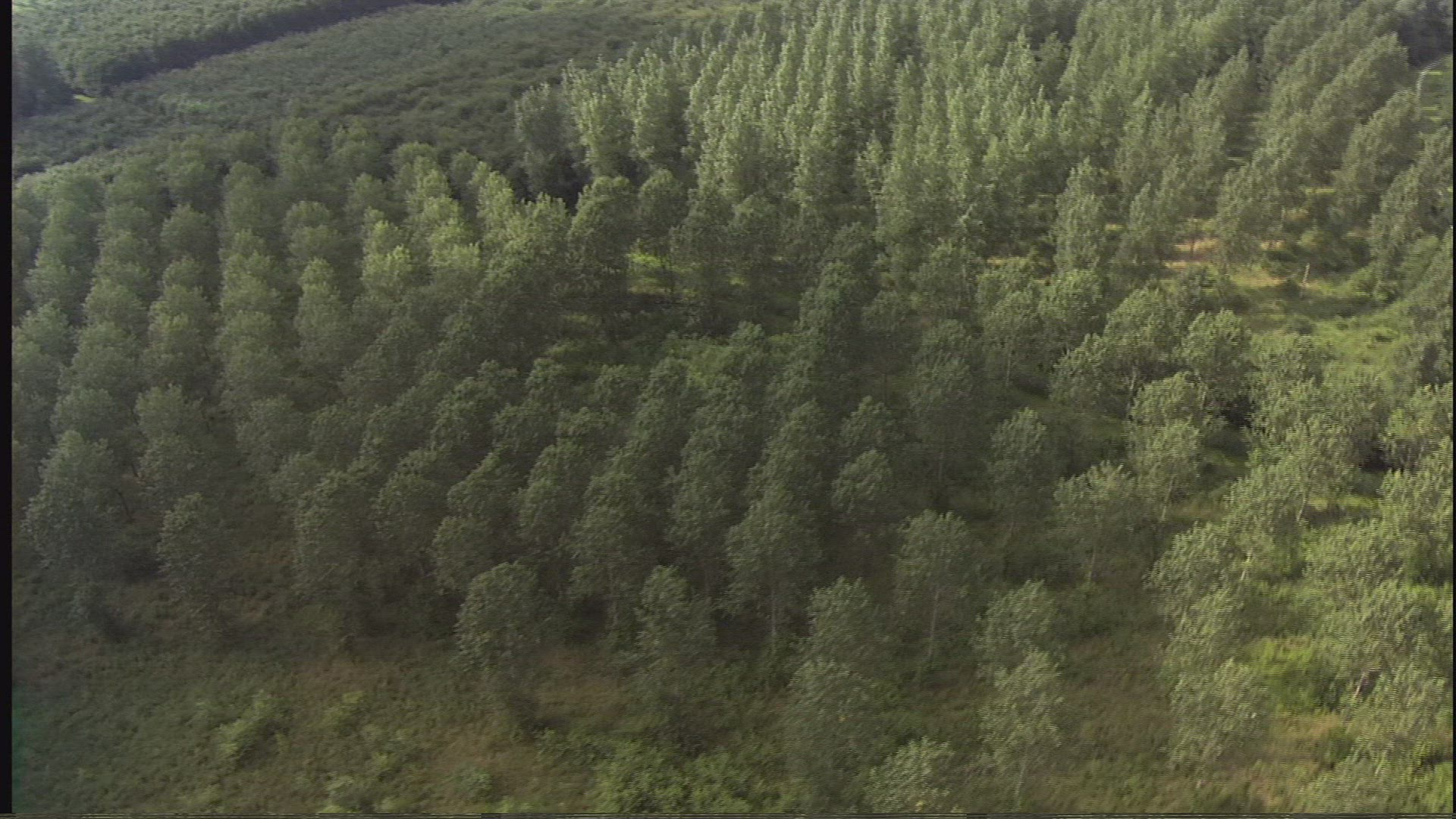 985327850 / Landscape / Netherlands 985327850 / Landscape / Netherlands