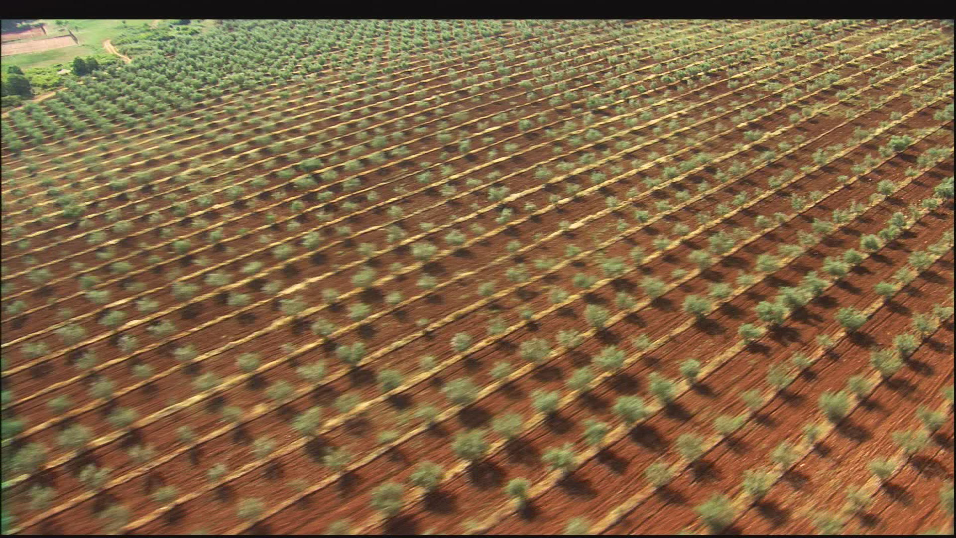 403005450 / Field / Landscape / Croatia