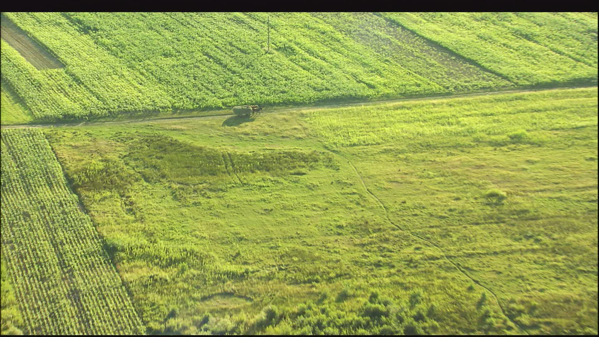 115973536 / Horse Cart / Romania