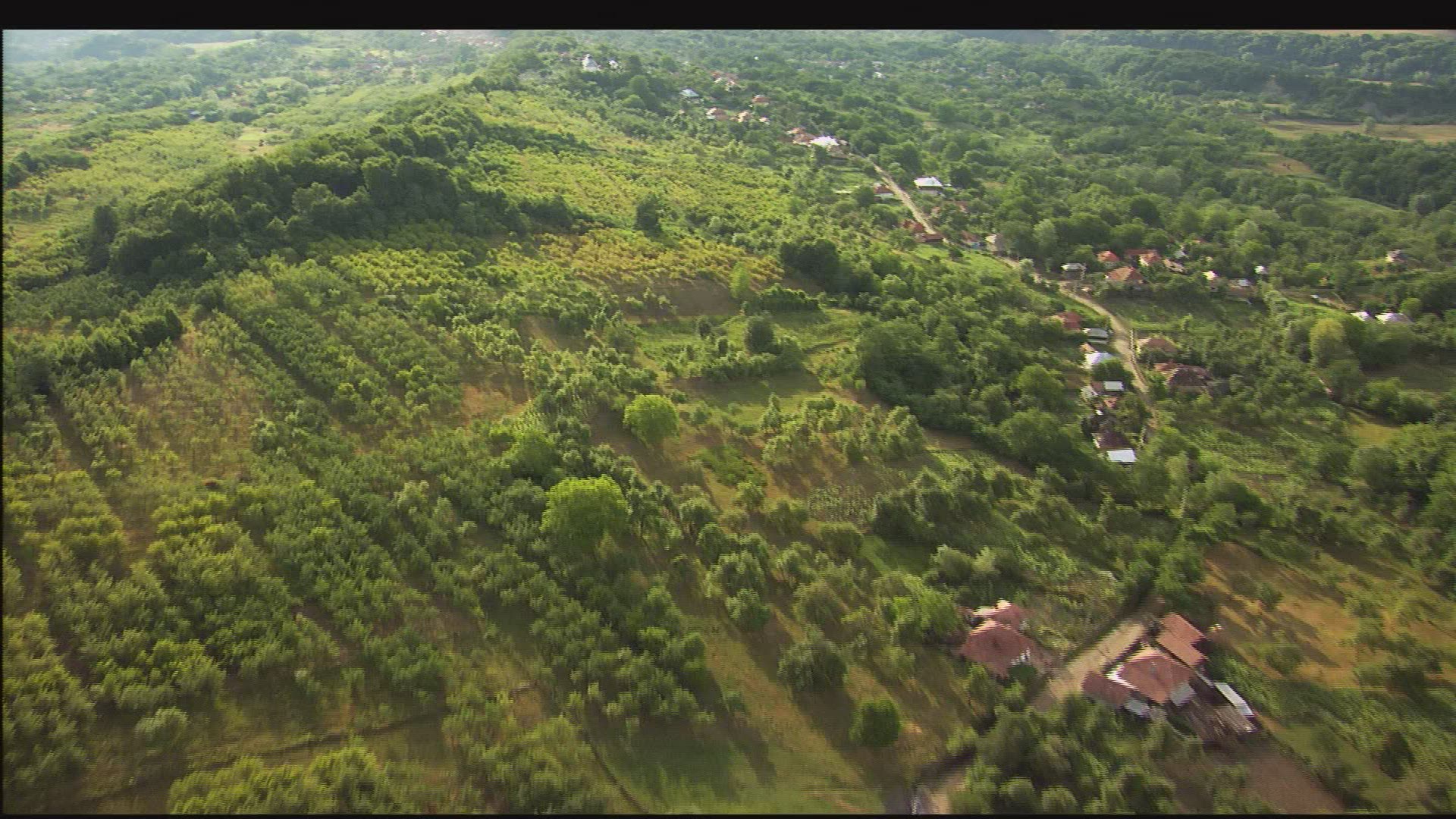 447137317 / Hilly Region / Romania