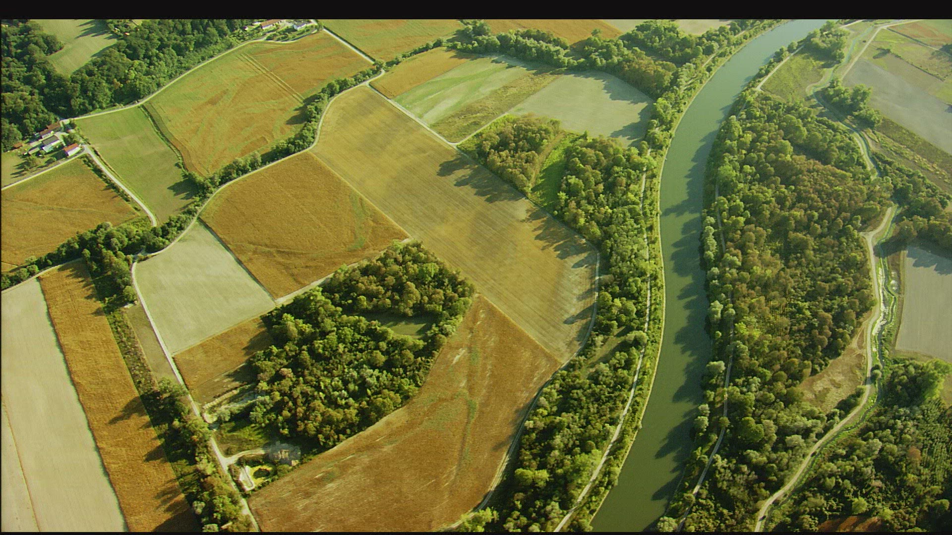 846033905 / Field / Lower Bavaria / Germany