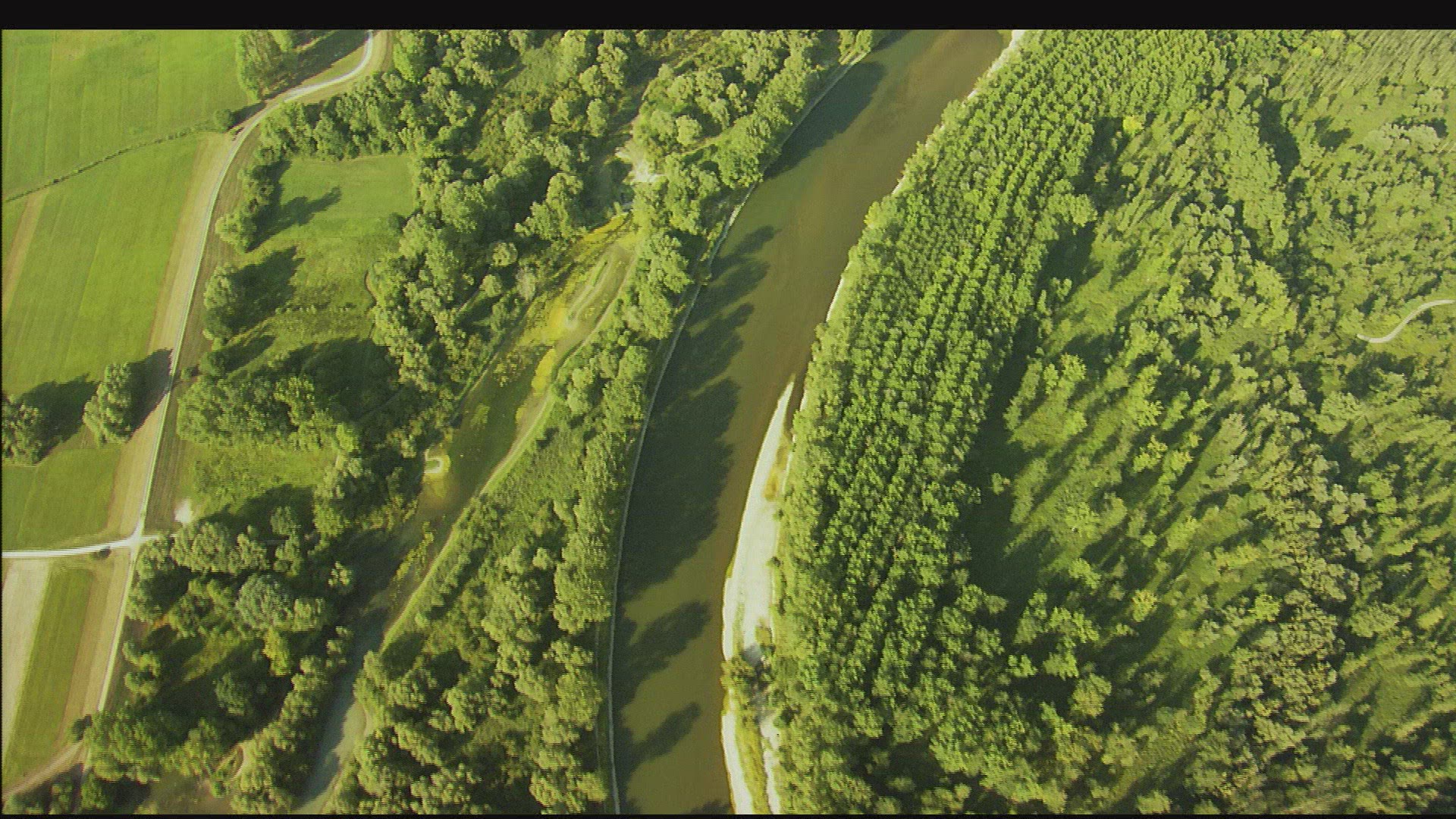 573482186 / Isar / Floodplain / Germany