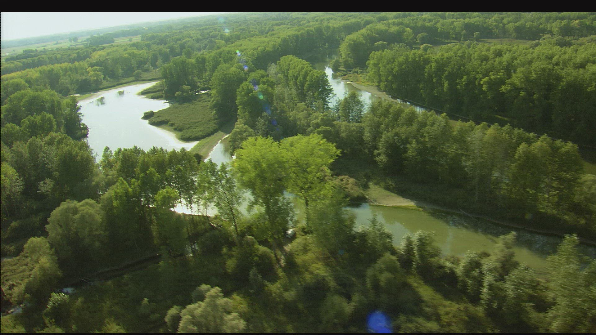 864074439 / Isar / Floodplain / Germany