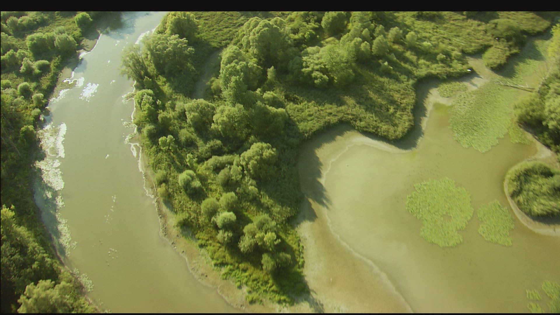 900391566 / Isar / Floodplain / Germany