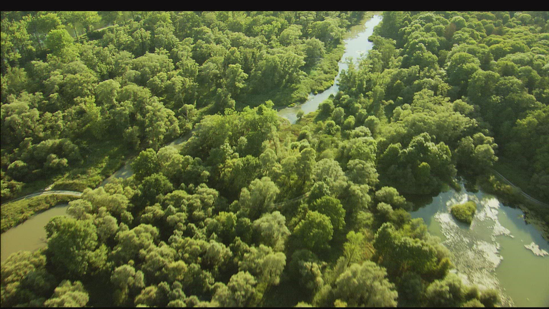 246639260 / Isar / Floodplain / Germany