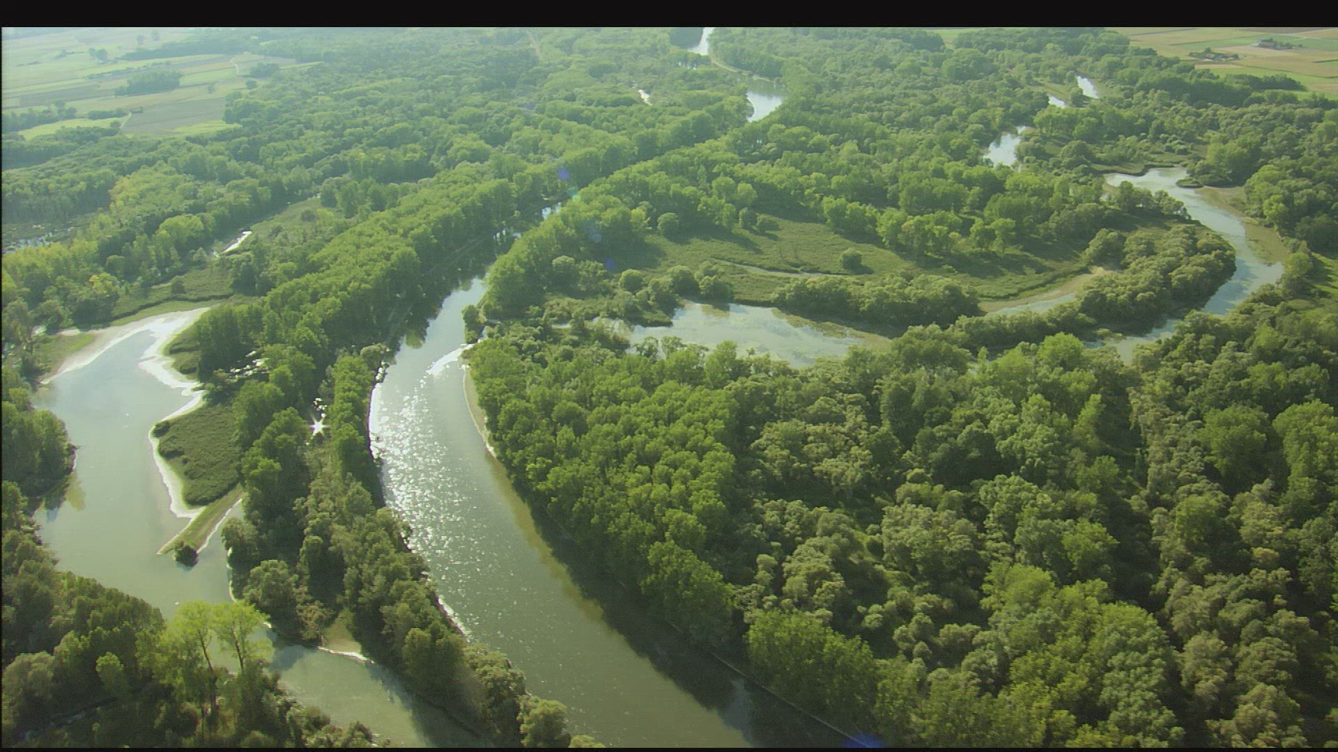 744529500 / Isar / Floodplain / Germany