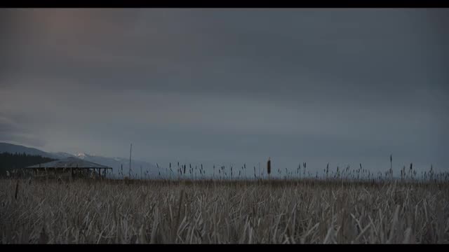 Montana Cattails with Cabin and Mountains 1