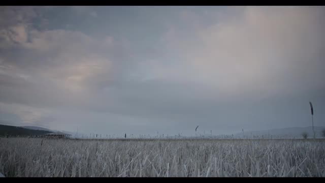 Pan of Montana Cattails with Cabin and Mountains 2