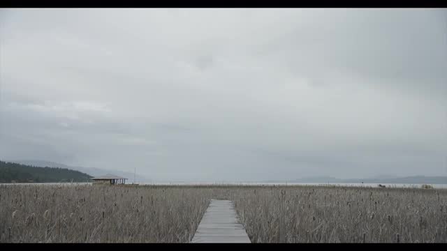 Montana Cabin on Lake with Cattails and Horses
