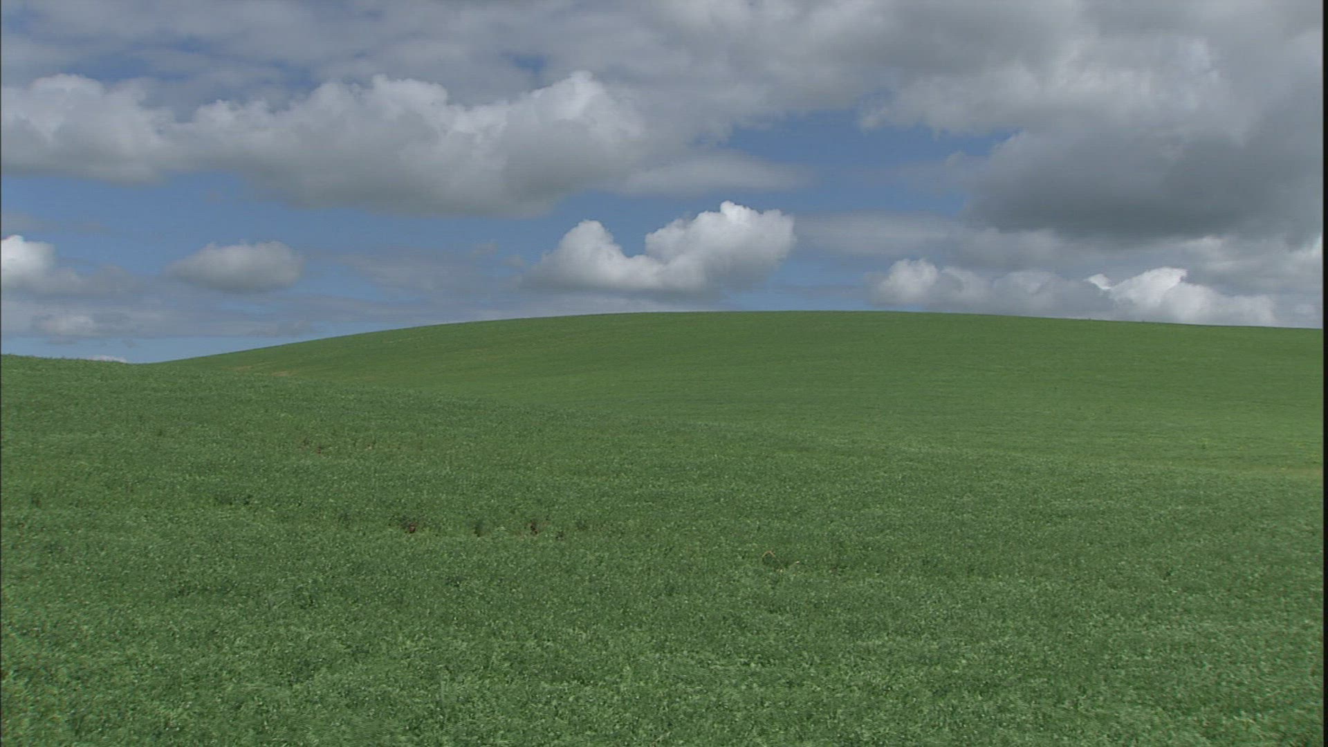 698745218 / Hilly Region / Palouse / USA