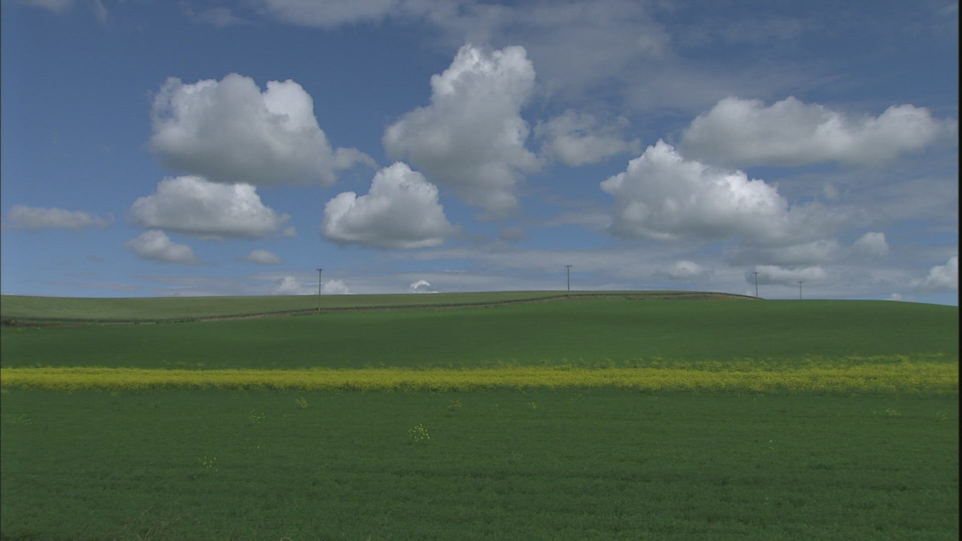 951703416 / Hilly Region / Palouse / USA